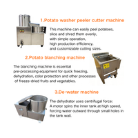 Lingrun 50-200kg/uur semi-automatische productielijn voor aardappelchips en frieten, productielijn voor gebakken bananenschijfjes