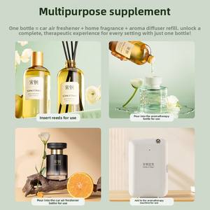 Song <strong>Dynasty</strong> Aromatherapy Reed Diffuser Long-Lasting Fragrance Enhancer Indoor Home Use High-Grade Essential Oil Car Refill - Product Image 3