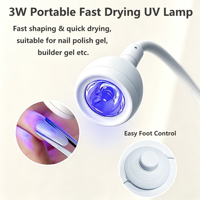 Lampe UV LED portable pour le séchage des ongles avec fonction 360° °   Sèche-ongles professionnel à angle réglable pour salons et soins personnels