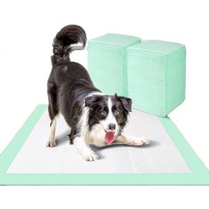 Tapis d'apprentissage de la propreté jetables pour chiots et chiens, à fond vert, haute absorption, anti-fuite - Product Image 3