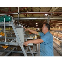 Cage à poules automatique en forme de pyramide, cages à coqs, cages à poulets de type A pour poulets de chair, fournie par l'usine