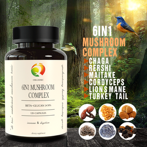 Cápsulas de Extrato de Cogumelo Orgânico 6 em 1 de Marca Privada, Suplemento em Pó de <span class=keywords><strong>Reishi</strong></span>, Mane de Leão, <span class=keywords><strong>Cordyceps</strong></span> e Chaga - Product Image 2
