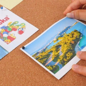 FOSKA 1/8 pouces tête ronde <span class=keywords><strong>carte</strong></span> <span class=keywords><strong>du</strong></span> <span class=keywords><strong>monde</strong></span> punaises pour tableau d'affichage panneau de liège <span class=keywords><strong>carte</strong></span> <span class=keywords><strong>du</strong></span> <span class=keywords><strong>monde</strong></span> broche conseil tissu marquage artisanat et bureau - Product Image 6