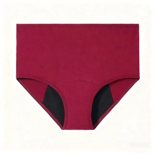 Hot Selling Four <strong>Layers</strong> <strong>Mid</strong> Waist Sexy Leak Proof High Absorption Menstrual Panties for Girls - Product Image 6