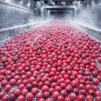 Graad A Halal IQF Diepvries Cranberries Groothandel |   100% natuurlijke, verse, diepvries hele cranberries voor sap, jam & bakkerijproducten