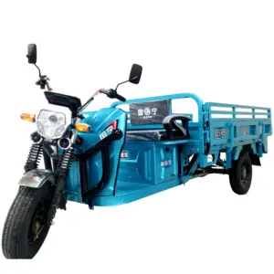 China Large Capacity Electric Cargo Tricycles Three-Wheeled Motorcycles for Village Field Use Heavy Duty Design