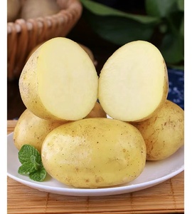 <span class=keywords><strong>Pomme</strong></span> <span class=keywords><strong>de</strong></span> <span class=keywords><strong>terre</strong></span> cultivée naturelle 100% biologique <span class=keywords><strong>de</strong></span> meilleure qualité à <span class=keywords><strong>prix</strong></span> compétitif <span class=keywords><strong>de</strong></span> Chine <span class=keywords><strong>prix</strong></span> d'usine <span class=keywords><strong>de</strong></span> gros - Product Image 4