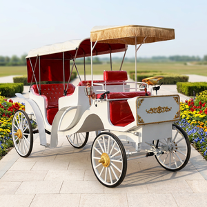 Offre Spéciale : Calèche Électrique Touristique de Qualité Supérieure pour Parcs – Prix Usine - Product Image 2