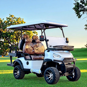 Fabricante Chino de Carros Eléctricos para Campos de Golf, Carros Eléctricos para Zonas Turísticas, Admite Personalización - Product Image 1