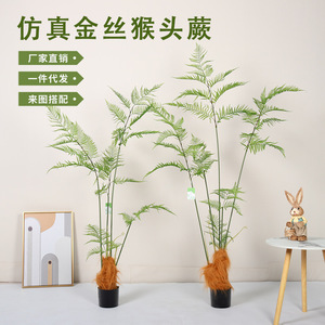 Plante artificielle de fougère à fil doré simulé Dream Castle, décoration d'intérieur sur pied, verdure de bonsaï - Product Image 1