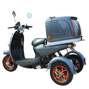 Engtine Chinese 3 Wheels Adults 650w Scooters Electric Tricycles ckd mobility lifan motorcycles e motos hot sale