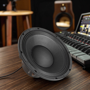 Chuyên nghiệp 10 "1000W công suất cao loa woofer với nam châm Neodymium & Die-cast Alu. Giỏ cho hệ thống âm thanh bass sâu - Product Image 6