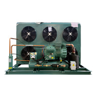 Unité de condensation à air refroidi 3hp-15hp pour congélateur rapide et entrepôt frigorifique
