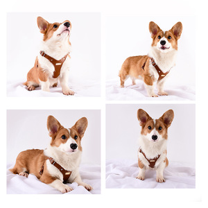 Arnés y Correa para Perro Pequeño de Cuero PU Premium, Ajustable, Transpirable, <span class=keywords><strong>con</strong></span> Malla, para Pasear y Viajar - Product Image 3