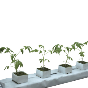 Kaihua KH-GS Op Maat Gemaakte Steenwolplaten Voor Commerciële Hydrocultuurboerderijen - Product Image 6