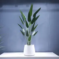 Kunstmatige Plant Canna 2.1 Meter 32 Bladeren In De Witte Bloem Pot Met Zwarte Steen Parel Katoen