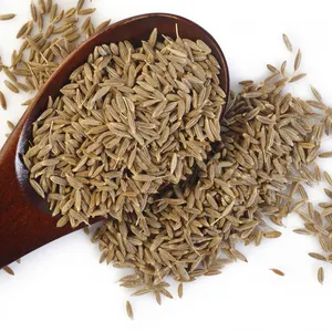 High Quality Dried Cumin Seeds Fennel Seed Whole