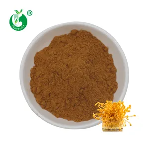 Cordycep Cordycepin Extract Top Quality Polysaccharide 30% Cordycepin 0.1% Cordyceps Militaris Extract Powder