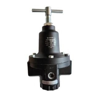 20AG-X4G-PH100 - Regulador de 1/2" BSPP |   Medidor de Flujo Alto 20AG-X4G-PH100 de la Serie 20AG - Product Image 6