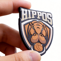 Écussons personnalisables en TPU souple avec dentelle, étiquettes thermocollantes pour vêtements de sport, badges magnétiques à coudre, fonction clignotante LED