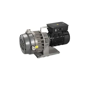 1 Or 3 Phase Motor 3.1L/s 60Hz Dry Vacuum Pump GWSPS150 Produced By Chinese Scroll Vacuum Pump Manufacturer GEOWELL