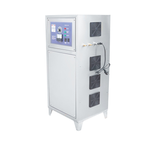 Generador de Ozono de Fuente de Aire 30g 35g Sistema Generador de Ozono 50g Purificador Vertical de Aire por Enfriamiento - Product Image 4