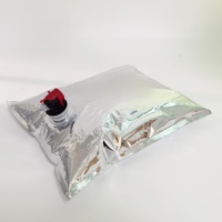 Sac à bavette transparent en aluminium dans une boîte à vin 3L 5L 10L 20L avec robinet pochette liquide durable gallon sac à boisson pour boissons jus huile