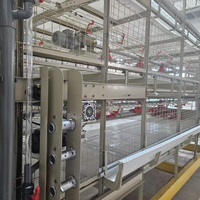 Système de cages à poulets de type H en acier galvanisé pour élevage avicole avec une longue durée de vie