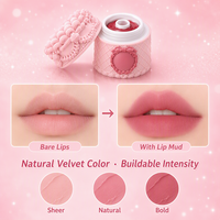 Gloss à lèvres personnalisé avec logo, saveur fraise, effet velours mat, imperméable, non collant, longue tenue, haute pigmentation, cosmétiques OEM