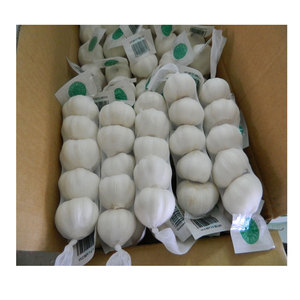 Prix d'usine <span class=keywords><strong>Ail</strong></span> frais chinois <span class=keywords><strong>Éléphant</strong></span> <span class=keywords><strong>Ail</strong></span> blanc pur - Product Image 2