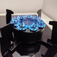 Brûleur Multifonctionnel à Couvercle Escamotable pour Cuisine Domestique, Cuisinière Encastrée en Verre Gaz/Électrique pour Hôtels, Voitures et Foyers