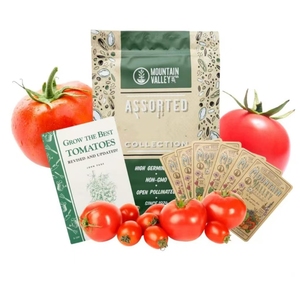 Una colección de plantas de tomate más vendida sin OGM que adapta su surtido de tomates ideal - Product Image 1