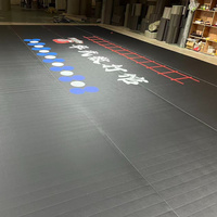 Tapis en mousse Cheer Roll Out Cheerleading Tapis de gymnastique utilisés Tapis de gymnastique Tapis de lutte