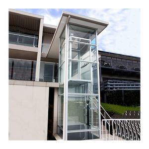 अनुकूलित छोटे हाइड्रोलिक होम लिफ्ट विकलांग घर लिफ्ट - Product Image 1