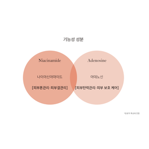 Suero Facial Coreano con 10% de Vitamina C, Corrector de Manchas Oscuras, Marca Privada, Directo de Fábrica - Product Image 5