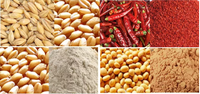 Décortiqueuse de riz électrique 2,2 kW pour la production de riz brun, capacité 300 kg/h, idéale pour les exploitations agricoles et le traitement du riz à petite échelle