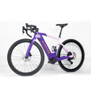 จักรยานไฟฟ้า M820 Mid Motor Ebike 700c Egravel Cycling 250W กำลังขับเคลื่อนกลาง 36V คาร์บอนไฟเบอร์ ระยะทางไกล โรงงานผลิตโดยตรง EGR-2 Ebike EG - Product Image 3