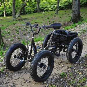 NUEVA <span class=keywords><strong>Bicicleta</strong></span> Todoterreno LIAO 2025 de 20 Pulgadas <span class=keywords><strong>con</strong></span> Cuatro <span class=keywords><strong>Ruedas</strong></span> y Neumáticos Anchos, Pedales para una Pedalada Suave en Aventuras de Cuatro <span class=keywords><strong>Ruedas</strong></span> - Product Image 2