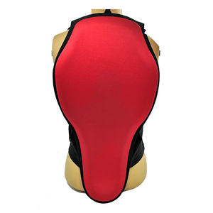 <span class=keywords><strong>Protector</strong></span> trasero de esquí EVA, personalizado, barato, certificado CE - Product Image 5