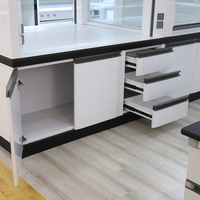 Équipement de laboratoire professionnel de Protection de sécurité de laboratoire de hotte de table en acier pour la clinique d'hôpital scolaire certifiée CE