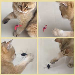 Cabezas de repuesto para la varita de juguete Hot Bionic Insect Cat con línea de pesca de 60 cm y señuelos de insectos hechos a mano surtidos para juegos de caza de gatos en interiores - Product Image 2