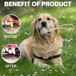 Ensemble de jouets à mâcher pour chien en corde de chanvre naturelle écologique avec corde en coton durable - Product Image 2