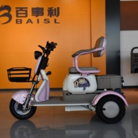 Mini tricycle électrique 48V 500W à 3 roues pour femmes, siège rembourré, panier avant, double boîte de rangement pour le shopping