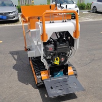 Livraison gratuite OEM Dumper Mini piste essence chenille transporteur Dumper 500kg 1000kg Mini camion à benne basculante Eu à vendre