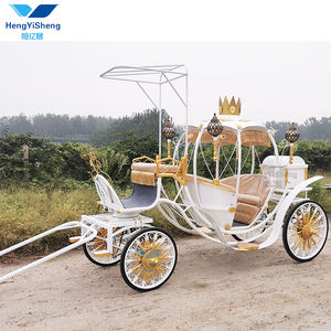 Carruaje de caballos de calabaza eléctrico elegante blanco personalizado de alta calidad Venta caliente transporte especial Hengyisheng China Hubei - Product Image 6