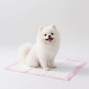 Factory Wholesale 40x40 50x50 cm OEM Disposable Absorbent Puppy Pet Dog <b>Potty</b> <b>Training</b> Hygienic Pee Pads Toilet Leak Protection - Product Image 1