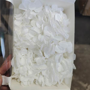 Pétalos de Hortensia Preservados, Flores Secas para Manualidades, Suministros para DIY, Regalo Perfecto para el Día de la Madre, Caja Cuadrada para Arte en Resina, Fabricación de Velas Eternas - Product Image 4