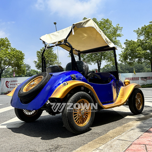 Coche Eléctrico Vintage Azul Dorado de Dos Plazas con Toldo para Transporte Turístico en Resorts Panorámicos - Product Image 5