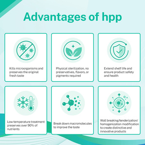 Equipo de Pasteurización en Frío HPP (Alta Presión Progresiva) para Platos Precocinados y Carne de HiLock, para Restaurantes - Product Image 5