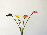 Bunga Calla Lily Putih Buatan Pabrik Langsung, Taro Guanyin Lotus, Model Cetakan Injeksi, Rangkaian Bunga Linear untuk Ruangan